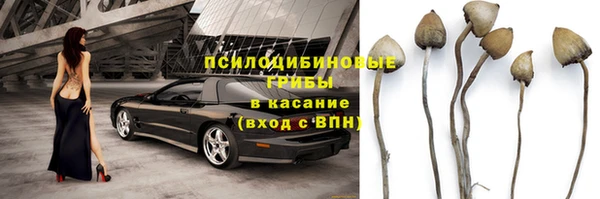 spice Дмитриев