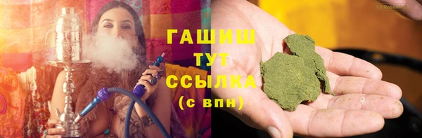 spice Дмитриев