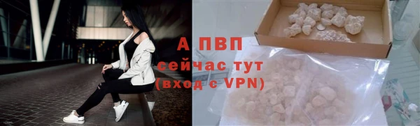 spice Дмитриев