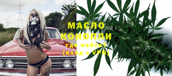 spice Дмитриев