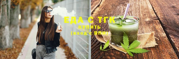 spice Дмитриев